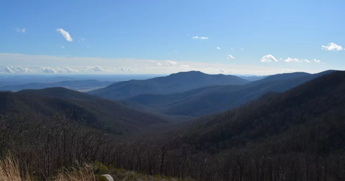 Russian WordPress Developer Salary Landscape